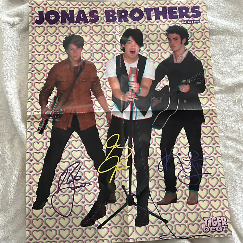 Jonas Brothers and Demi Lovato double sided 3D Tiger Beat magazine poster 🎶